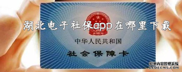 湖北電子社保app在那邊下載