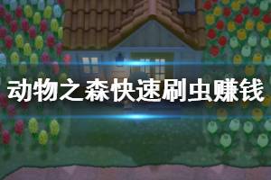 《集合啦動物森友會》怎么快速刷錢？快速刷蟲賺錢技巧