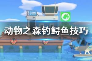 《集合啦動物森友會》鱘魚怎么釣？釣鱘魚技巧分享