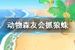 《集合啦動物森友會》抓狼蛛經驗分享 新人怎么抓狼蛛