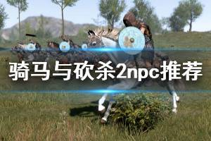 《騎馬與砍殺2》npc推薦 什么npc好