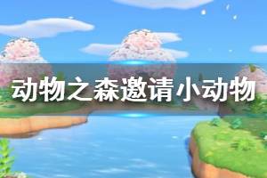 《集合啦動物森友會》怎么邀請小動物 邀請小動物方法介紹