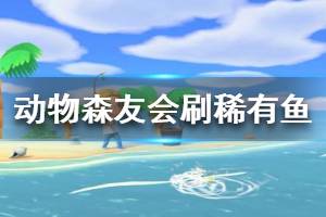 《集合啦動物森友會》稀有魚怎么刷 刷稀有魚方法介紹