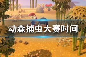 《集合啦動物森友會》捕蟲大賽什么時候開始 捕蟲大賽時間介紹