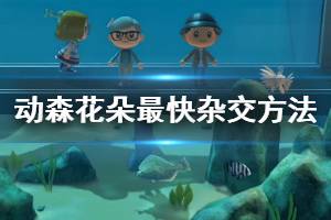 《集合啦動物森友會》花卉雜交表匯總 花朵最快雜交方法介紹