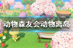 《集合啦動物森友會》如何讓動物居民離開島上 動物居民離島方法介紹