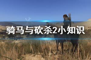 《騎馬與砍殺2》小知識分享 游戲中有什么小知識