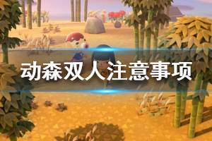 《集合啦動物森友會》雙人模式要注意什么 雙人模式注意事項一覽