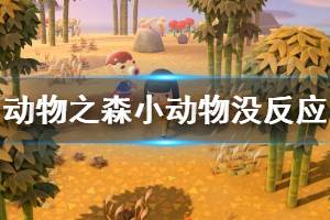 《集合啦動物森友會》小動物不回表情怎么辦 小動物無反應解決方法介紹