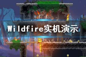 《Wildfire》實(shí)機(jī)演示視頻分享 游戲好玩嗎？