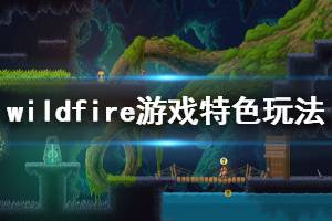 《Wildfire》游戲怎么樣？游戲特色玩法簡單介紹