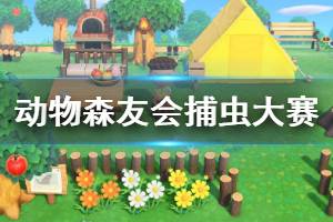 《集合啦動物森友會》捕蟲大賽怎么玩 捕蟲大賽玩法技巧介紹