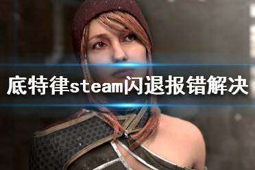 《底特律變?nèi)恕穝team打不開怎么辦 steam閃退報錯解決方法