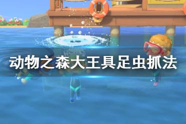 《集合啦動物森友會》大王具足蟲怎么抓？大王具足蟲抓法技巧