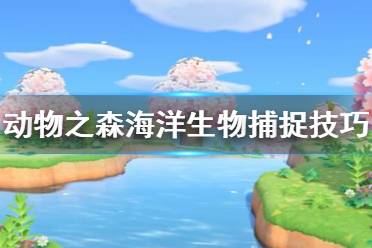 《集合啦動物森友會》海洋生物怎么抓 海洋生物捕捉技巧分享