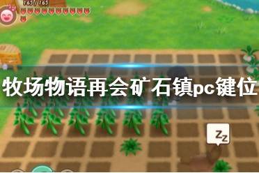 《牧場物語再會礦石鎮(zhèn)》pc鍵位操作一覽 pc版怎么操作？