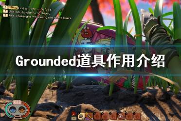 《禁閉求生》道具有哪些？Grounded道具作用介紹