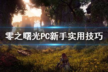 《地平線零之曙光》PC新手怎么玩 PC新手實用技巧介紹