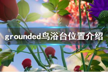 《禁閉求生》鳥浴臺(tái)在哪 grounded鳥浴臺(tái)位置介紹