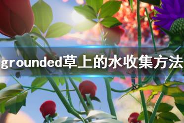 《禁閉求生》草上的水怎么收集 grounded草上的水收集方法介紹