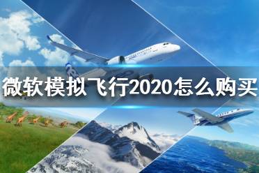 《微軟模擬飛行2020》怎么購買？購買方法介紹