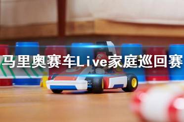  以上就是馬里奧賽車Live家庭巡回賽游戲價格一覽