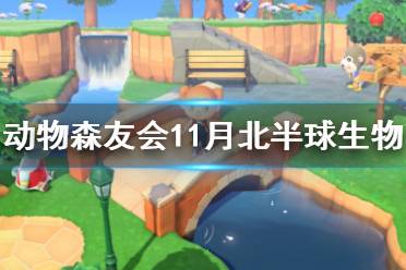  以上就是動物森友會11月北半球新增生物一覽的全部內(nèi)容了