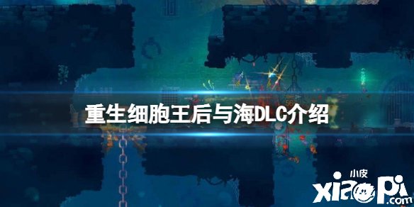 《更生細(xì)胞》王后與海DLC先容