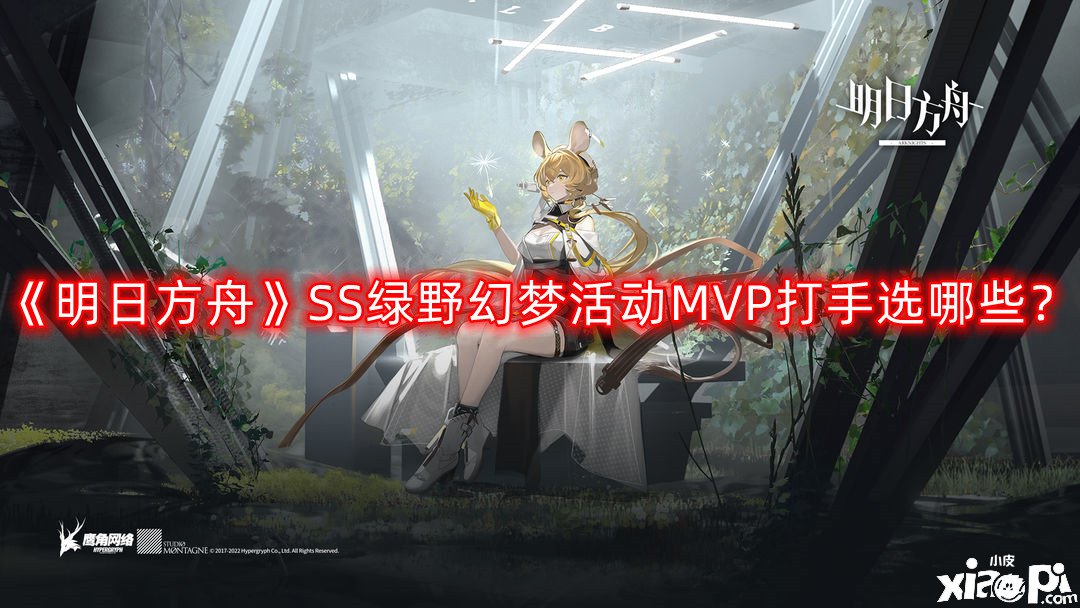 《嫡方舟》SS綠野幻境勾當(dāng)MVP打手選哪些？SS綠野幻境勾當(dāng)MVP打手推薦