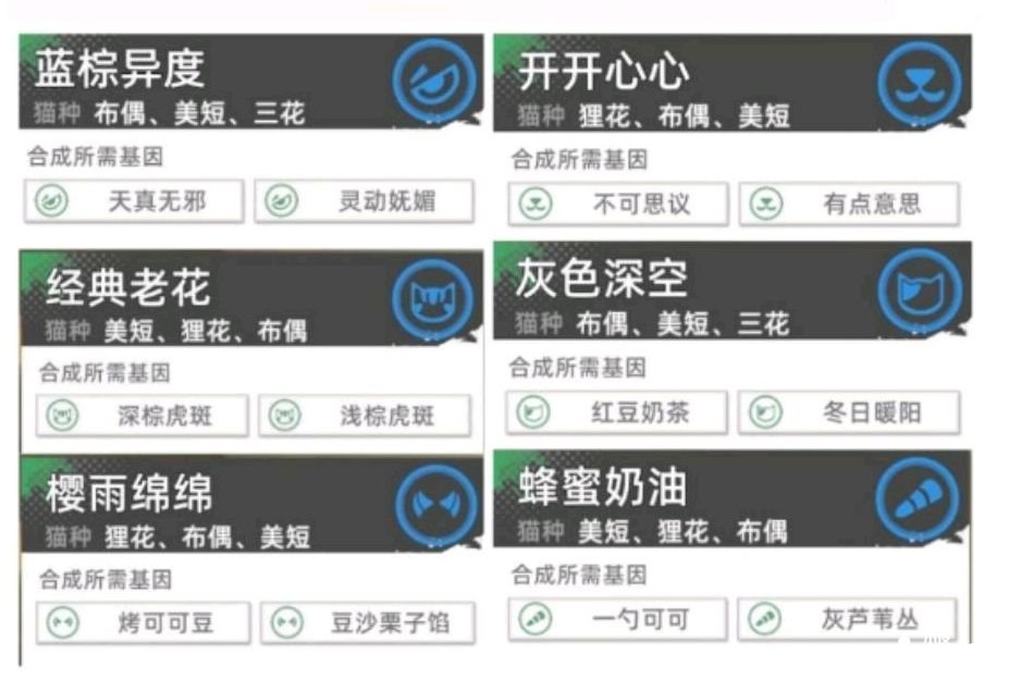 《貓之城》主題貓詞條怎么選擇？主題貓詞條選擇推薦