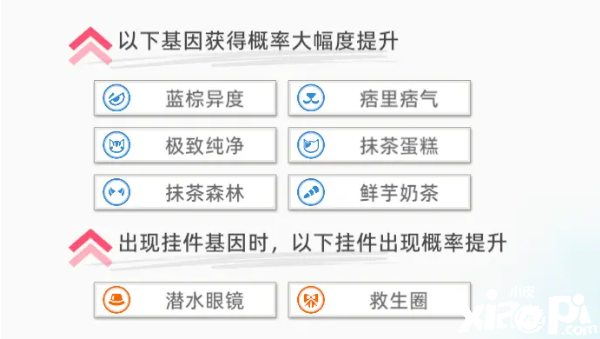 《貓之城》海灣救助主題貓?jiān)趺吹玫剑亢尘戎黝}貓獲取攻略