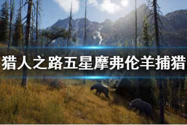 《獵人之路》五星摩弗倫羊怎么抓？五星摩弗倫羊捕獵方法介紹